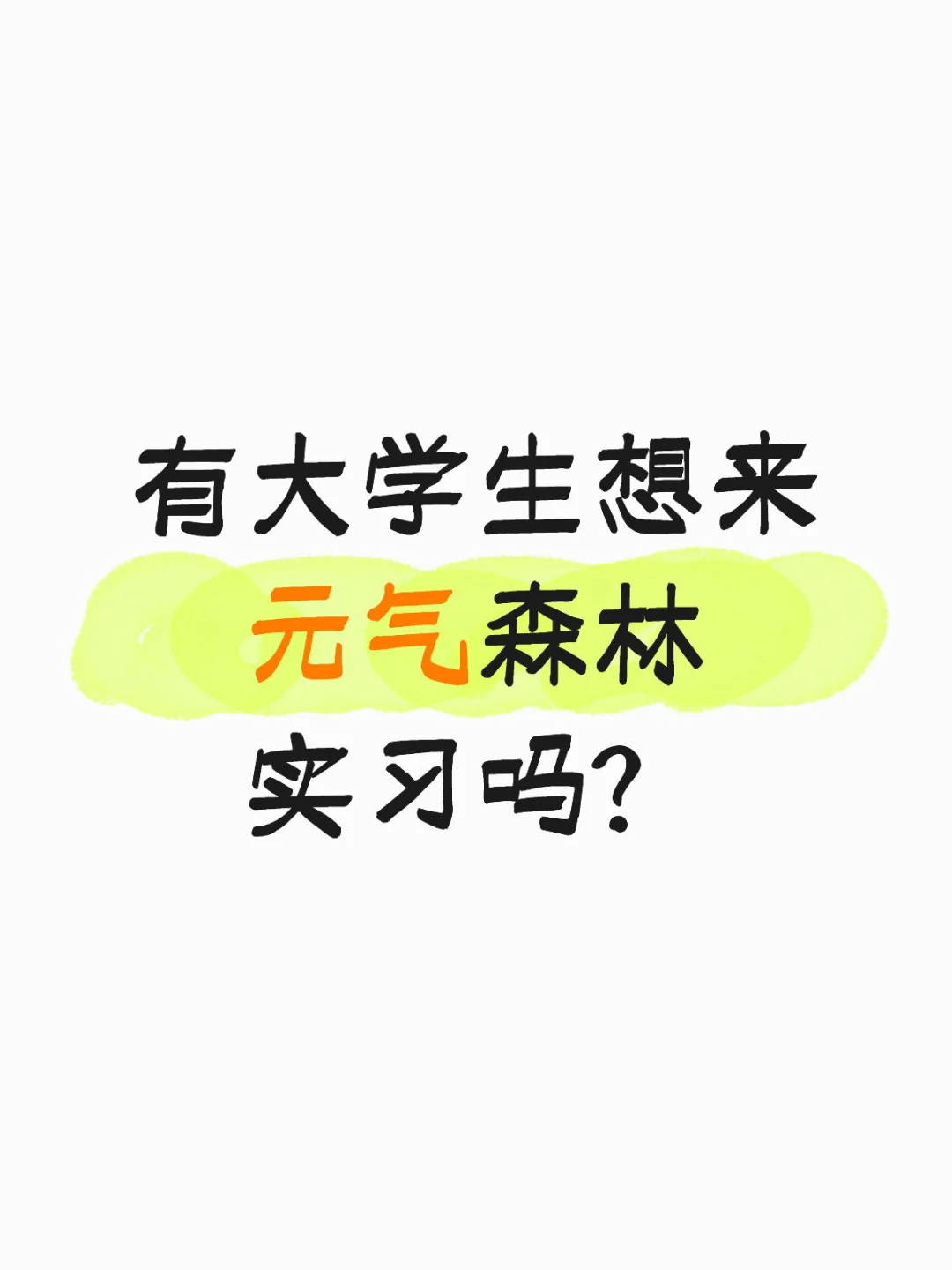 有大学生想来元气森林实习吗？