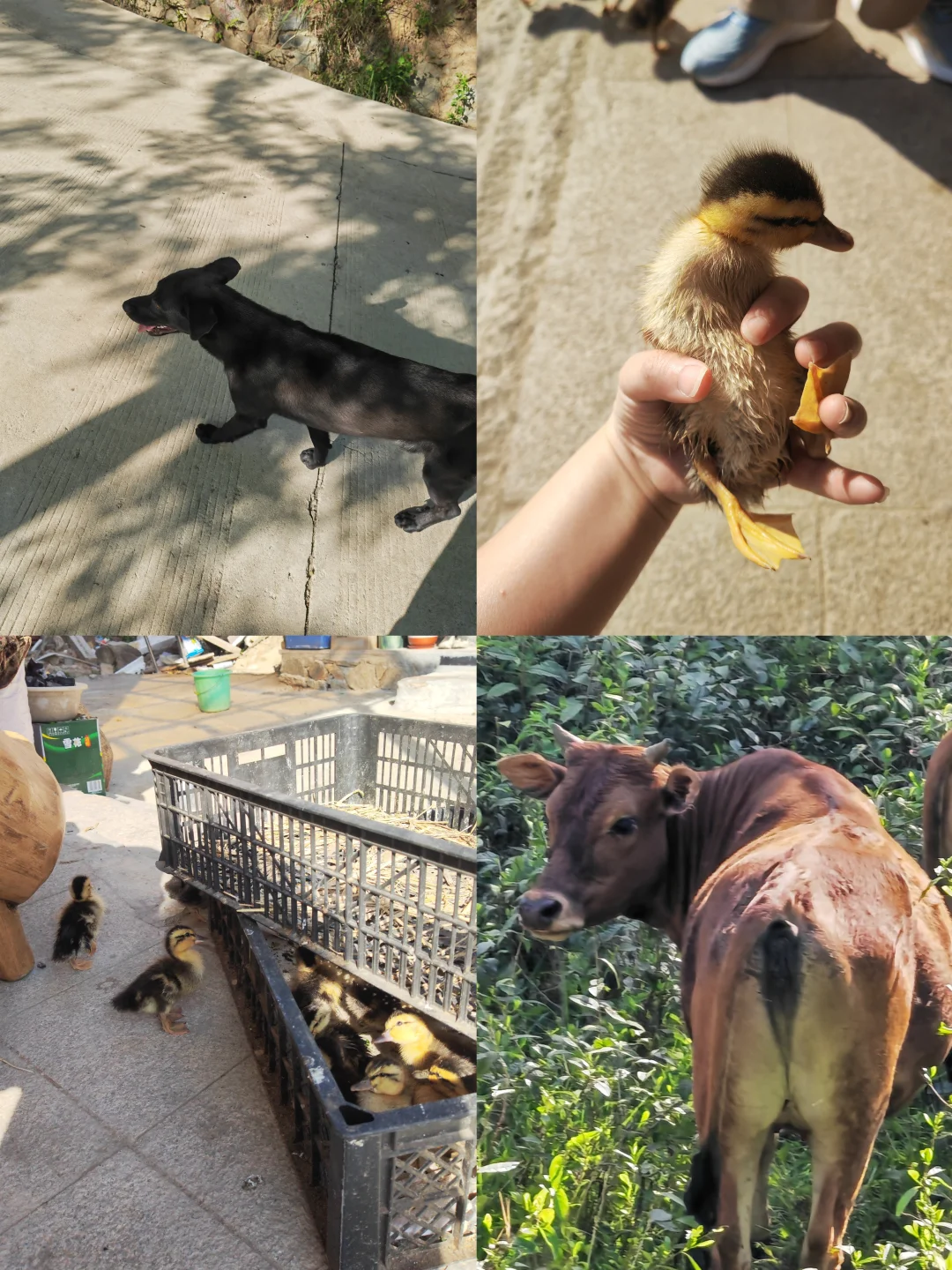 0经验面试稀缺岗位 | 海外运营篇（二）