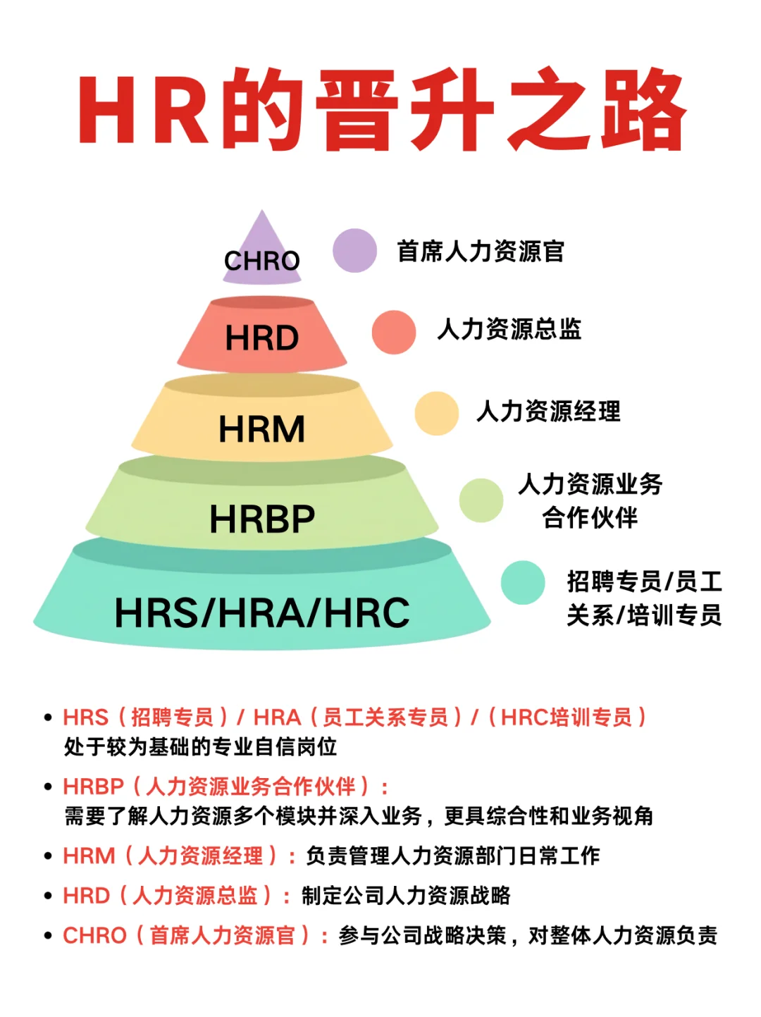 HR的晋升之路！🔥一张图就搞懂！