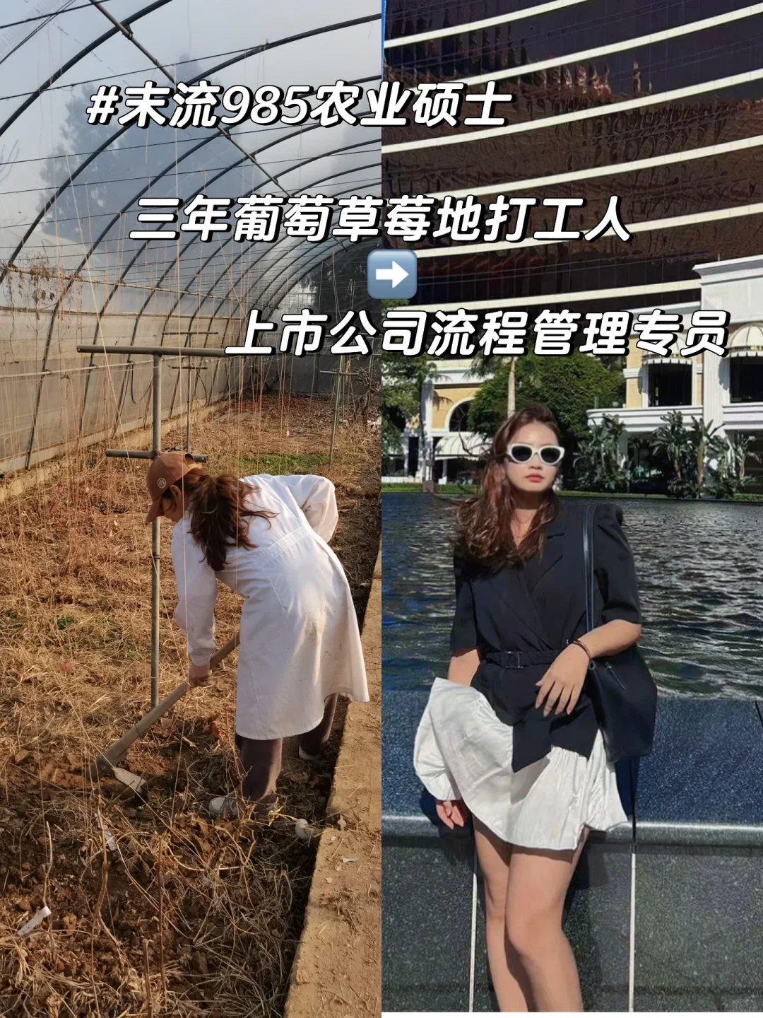 🌾农业硕士血泪坦白局：从实验室到深圳CBD