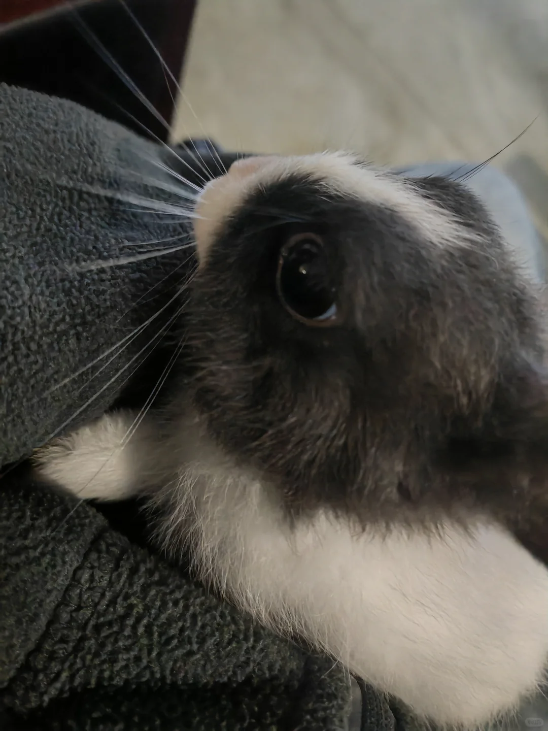 0经验面试稀缺岗位 | 海外运营篇（二）