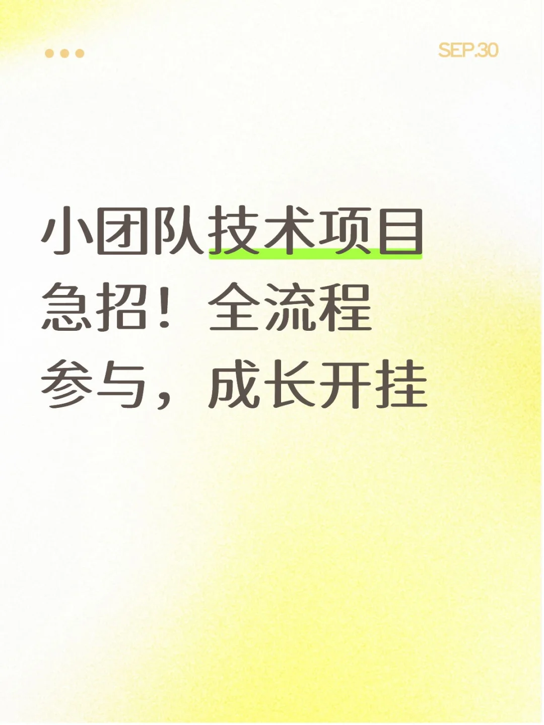 小团队技术项目急招！