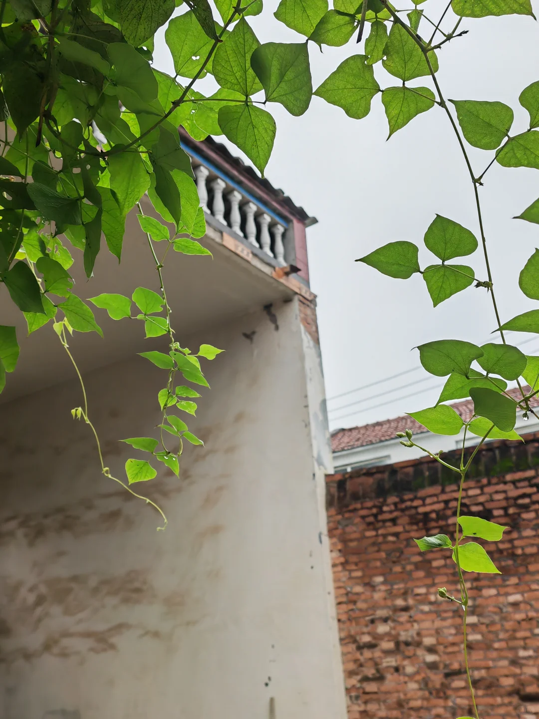 0经验面试稀缺岗位 | 海外运营篇（二）