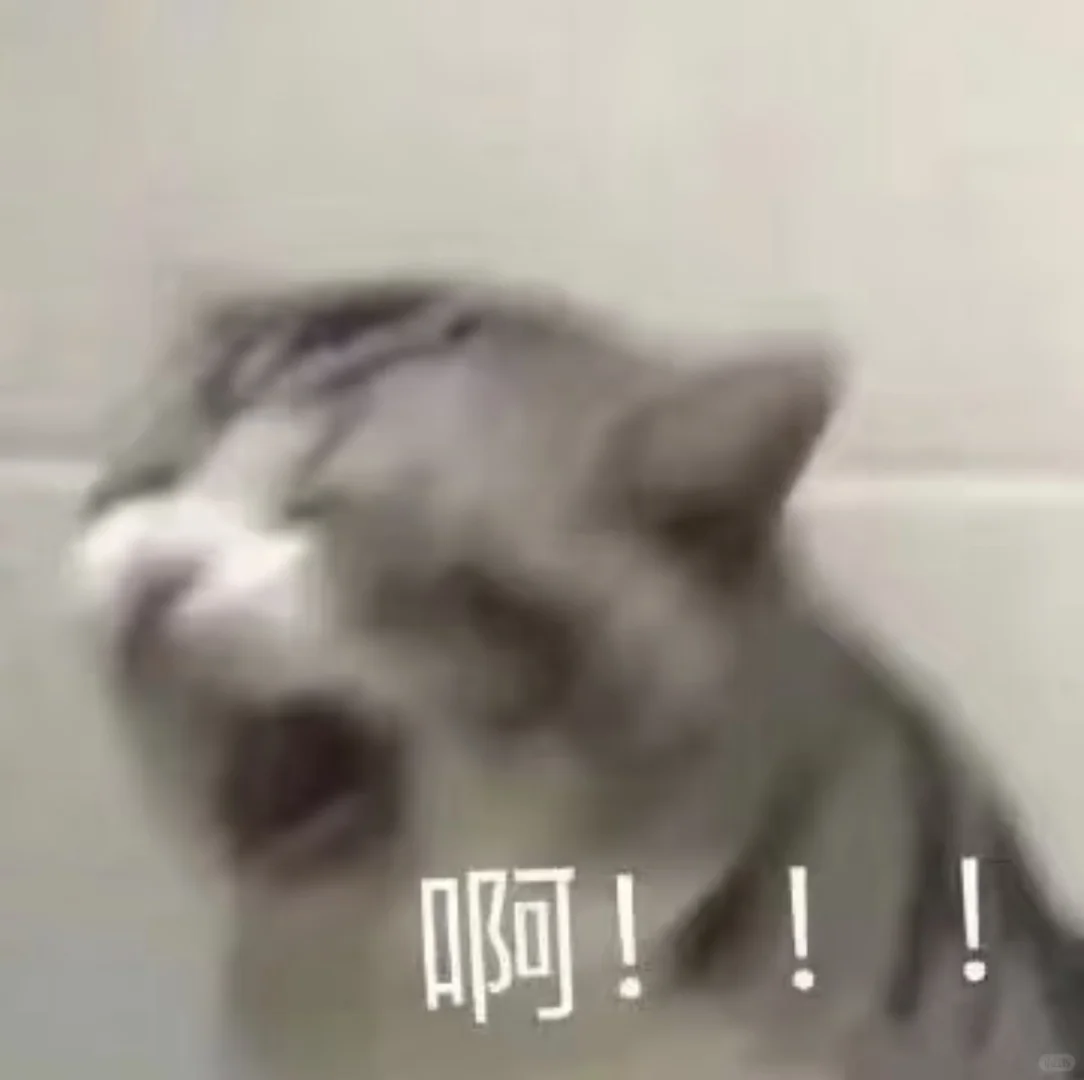 南京容诚社招