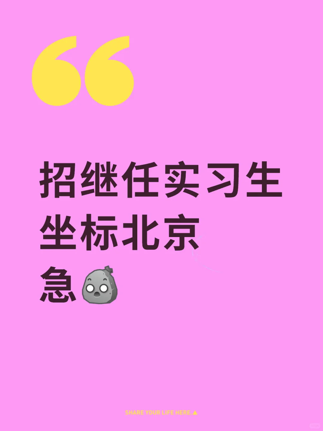 如题招实习生