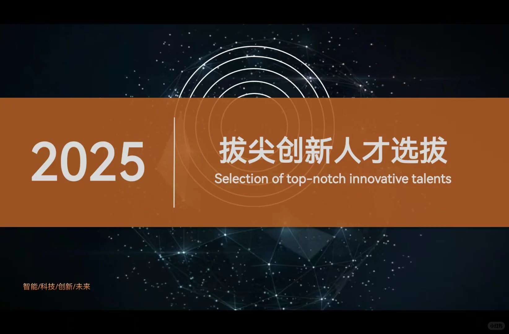 拔尖人才计划