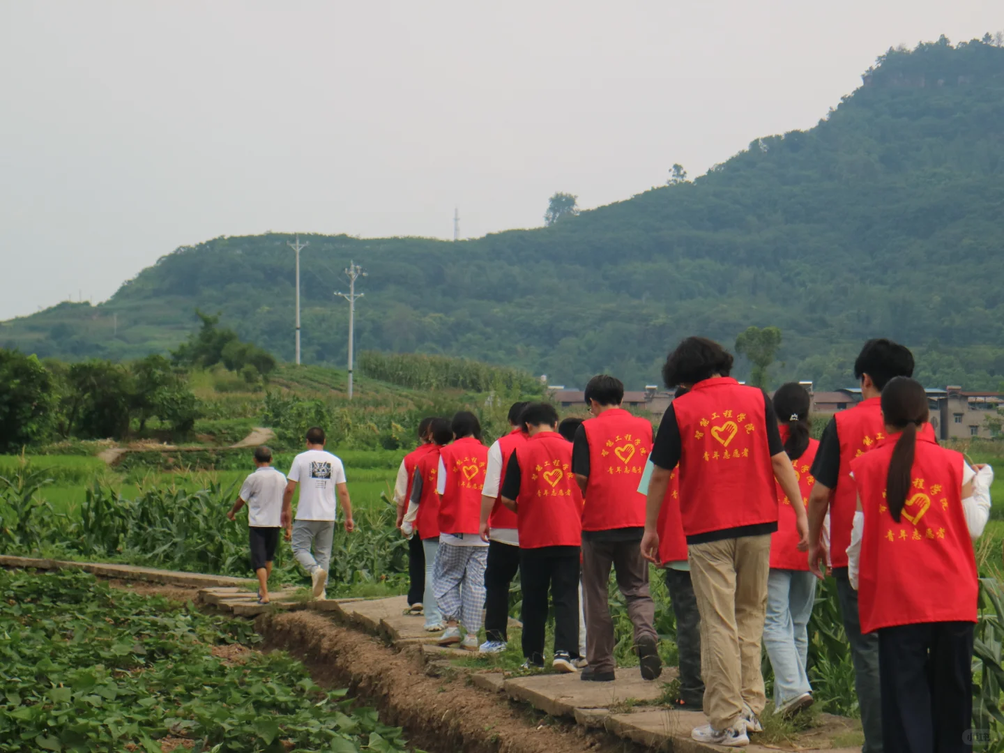 科技赋能田间地头，实干托起乡村未来