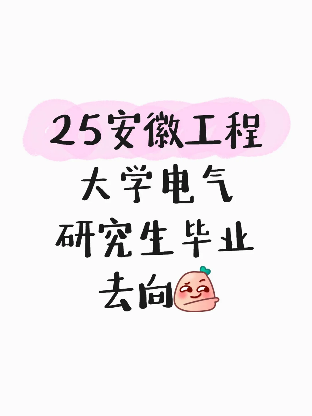 25安徽工程大学电气研究生毕业去向