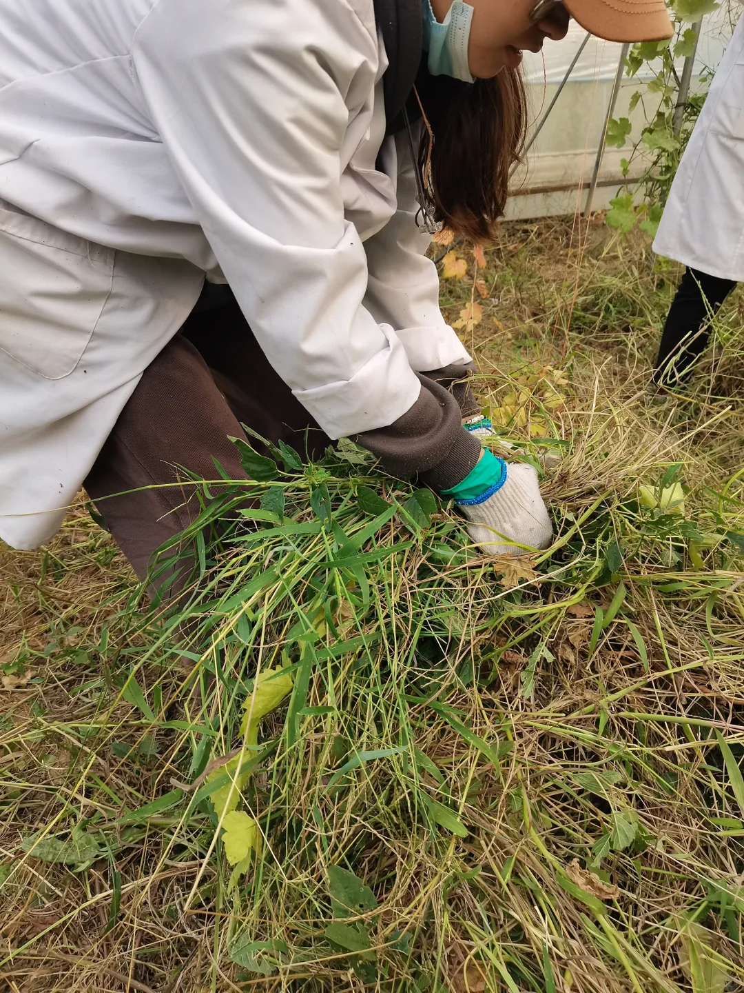 🌾农业硕士血泪坦白局：从实验室到深圳CBD