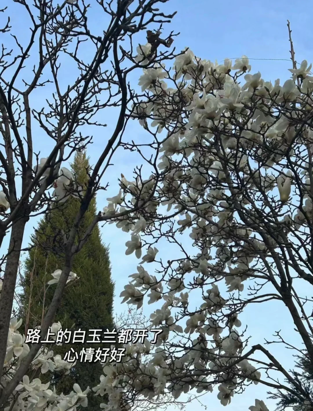 在邯郸 有一份高薪工作是什么体验
