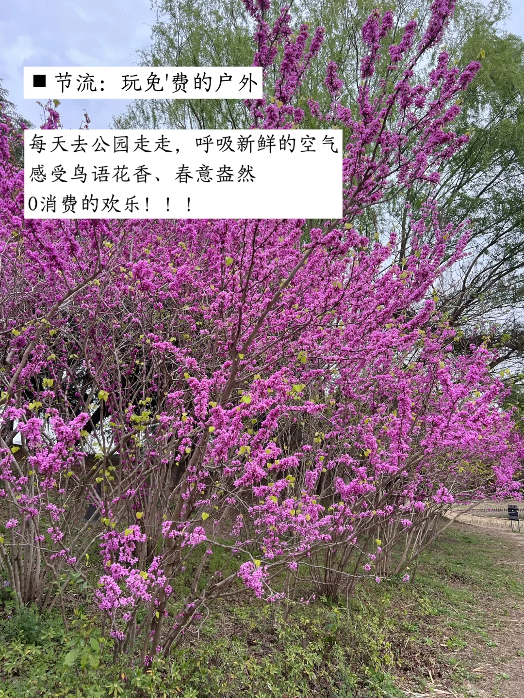 替大家试过了，不上班也饿不死的活法