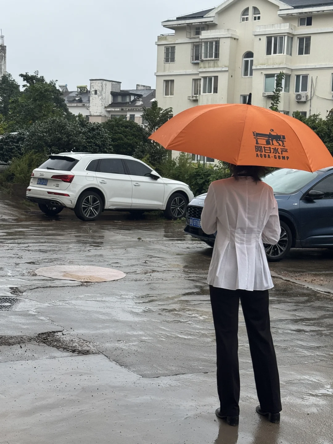 青岛招聘，包礼盒，一天260，日结无押