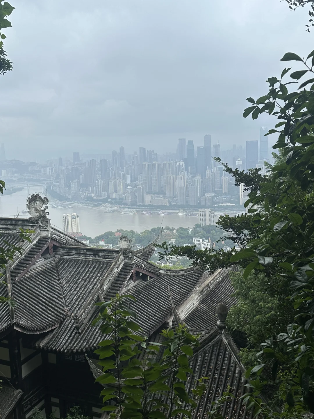 龙洲湾文员招聘 无需经验