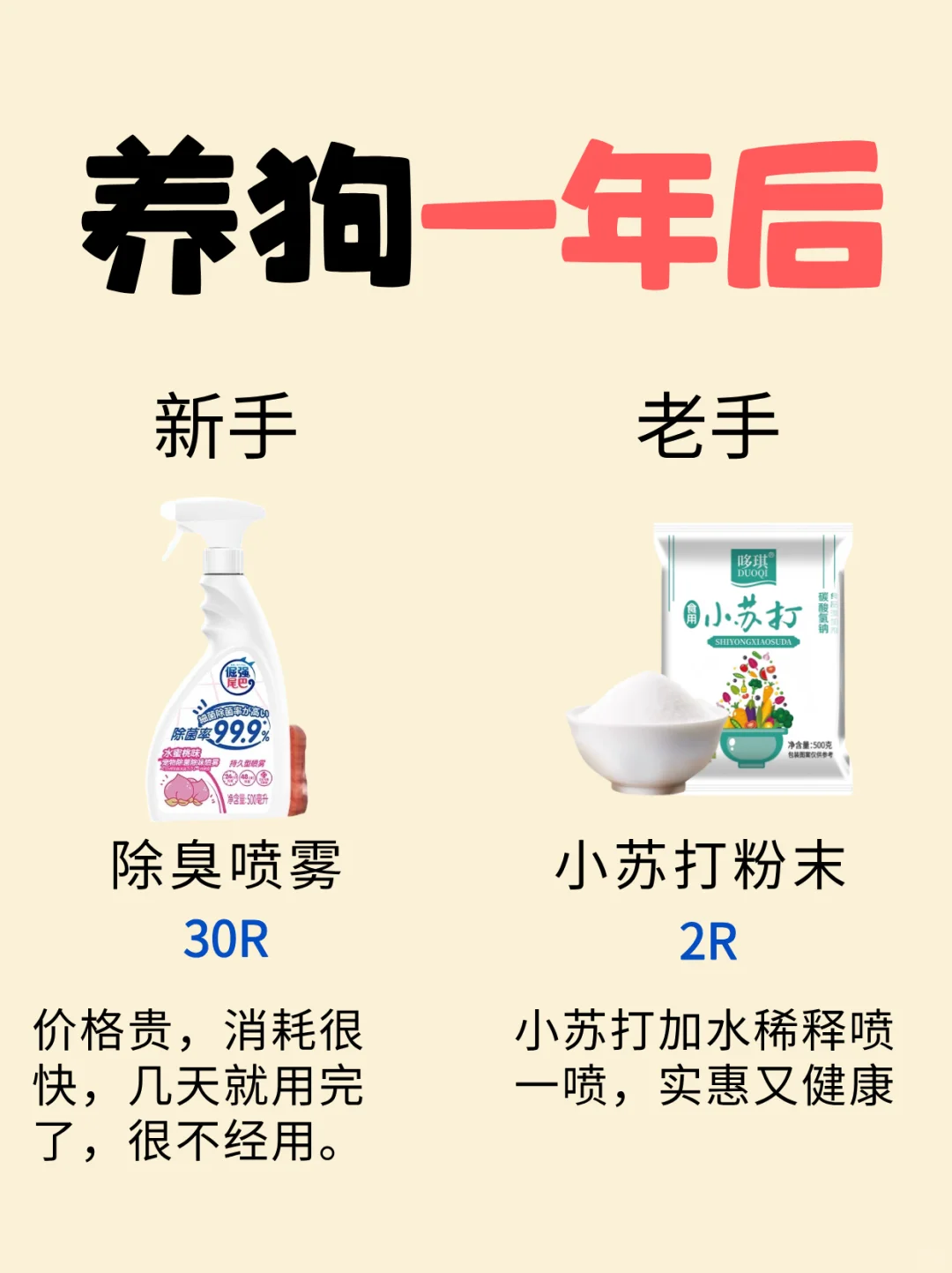 新手养狗平替指南 | 月薪3k也能精致养狗❗