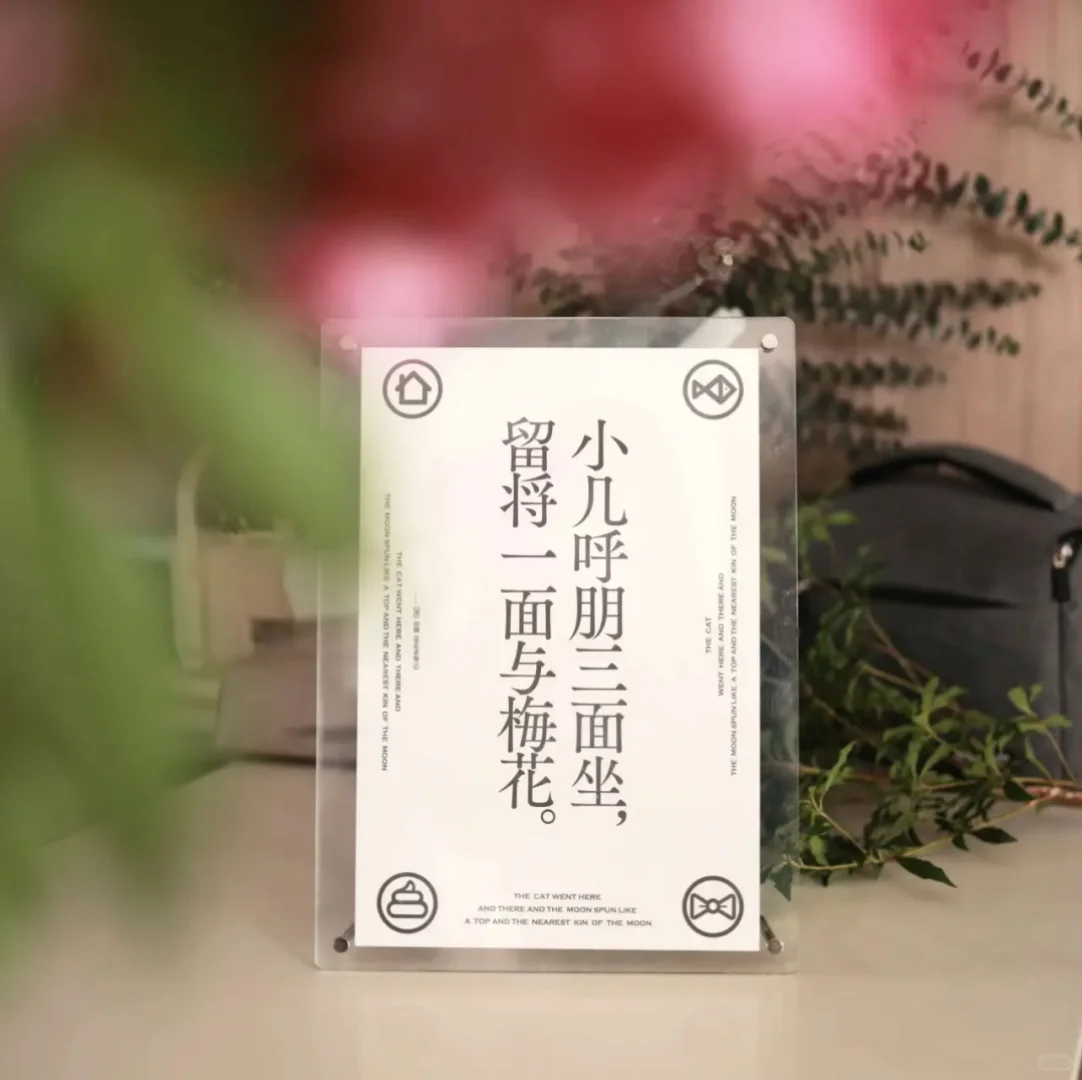 🐾谁懂啊！古人“聘猫”仪式被还原，太有仪式感