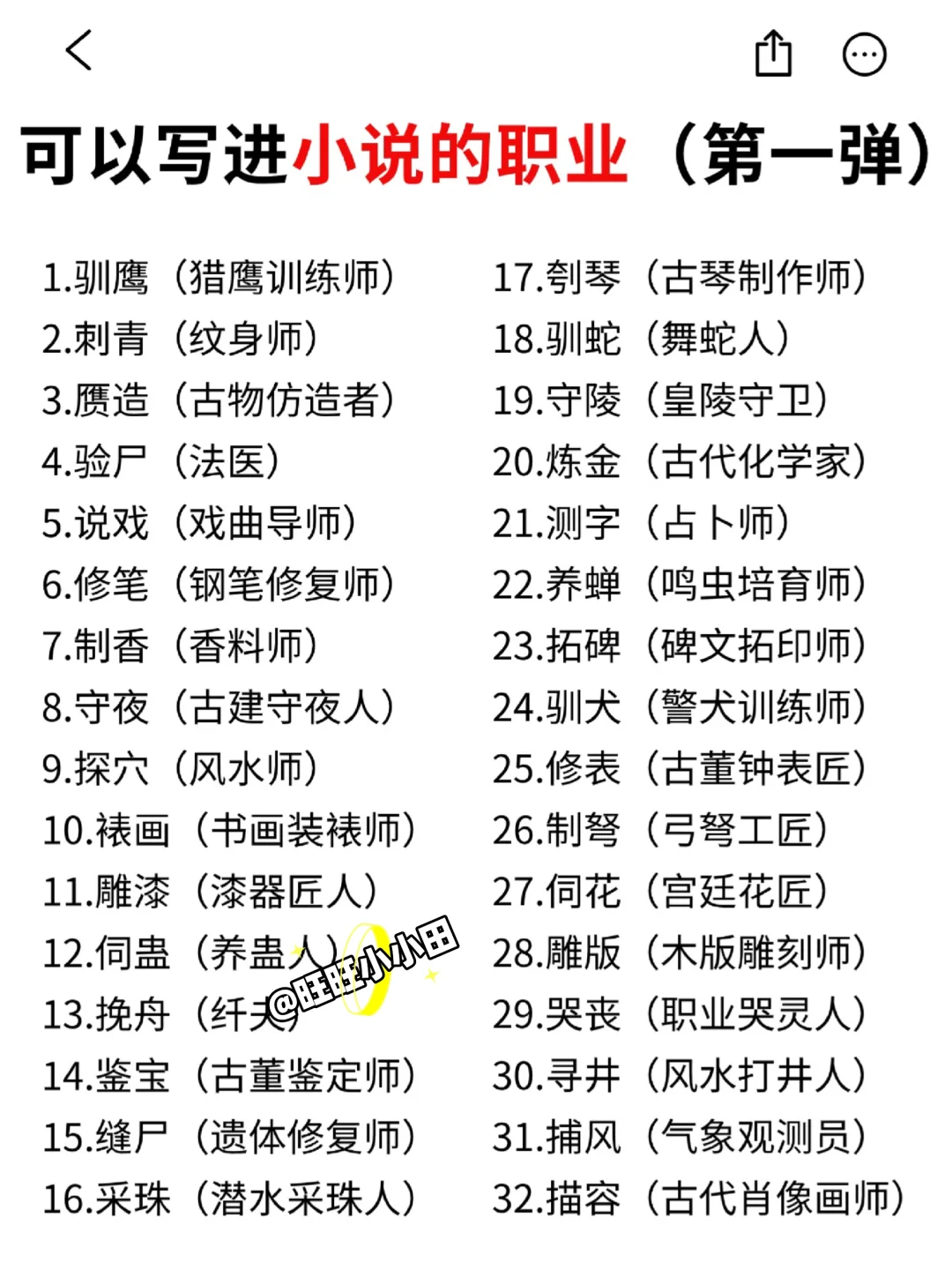 写作：可以写进小说的职位