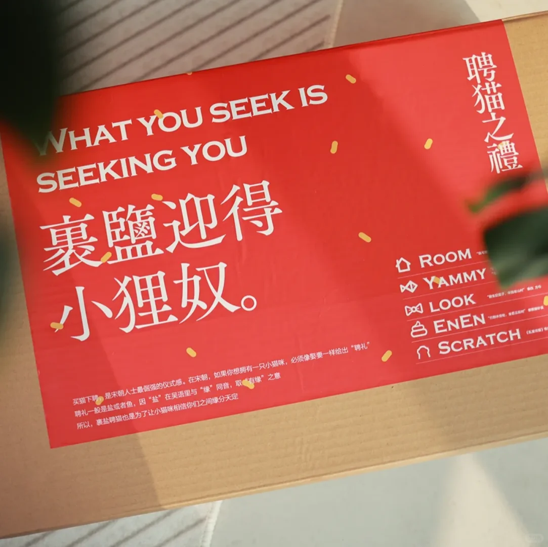 🐾谁懂啊！古人“聘猫”仪式被还原，太有仪式感