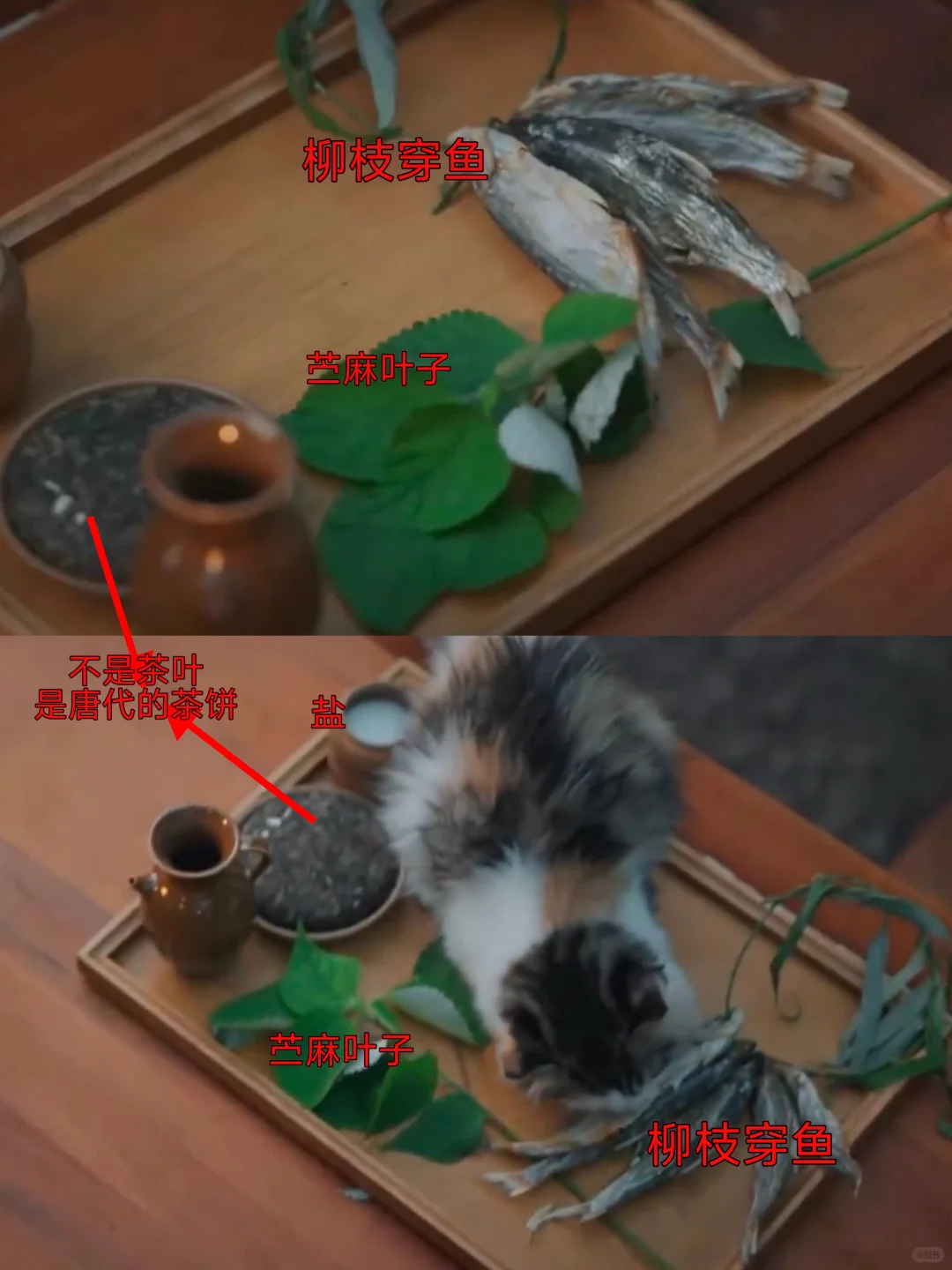 太细节了！“买鱼穿柳聘衔蝉”具象化了！