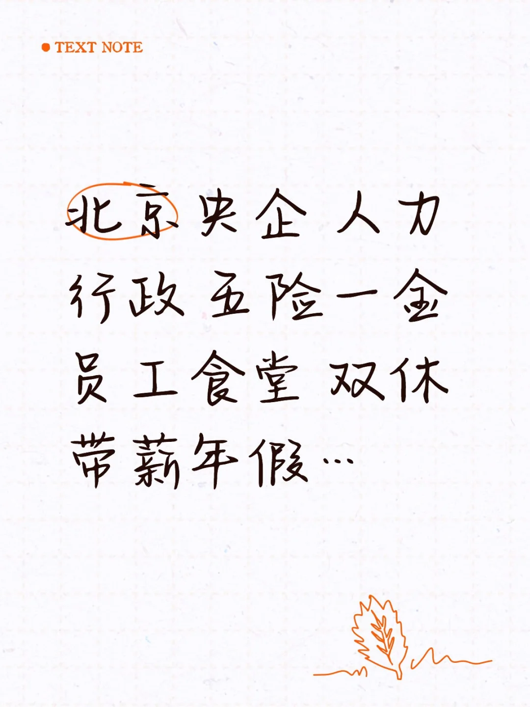 海淀区央企 人力行政 五险一金 双休！！