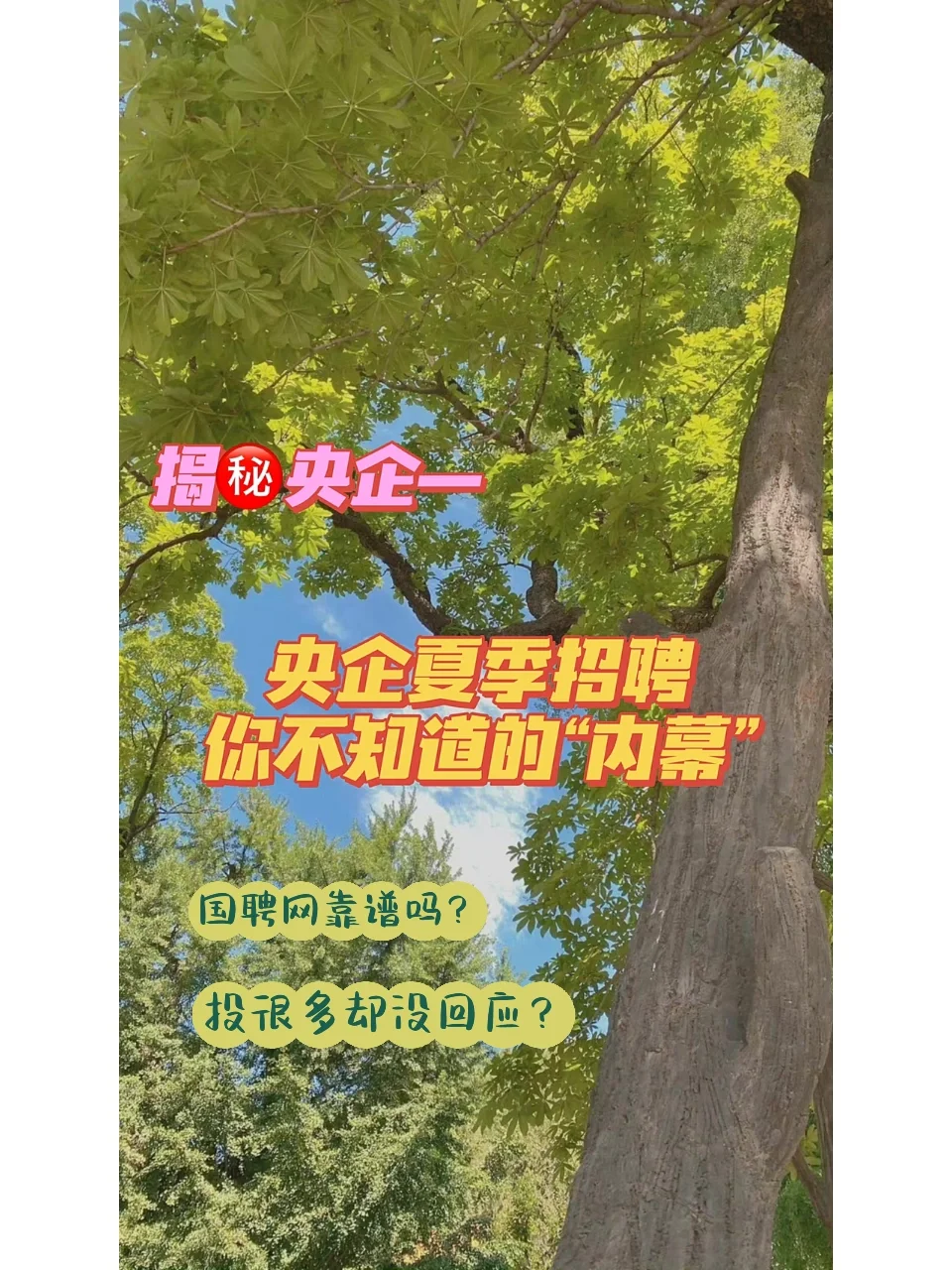 国聘网央企夏季招聘｜应届生该知道的内幕