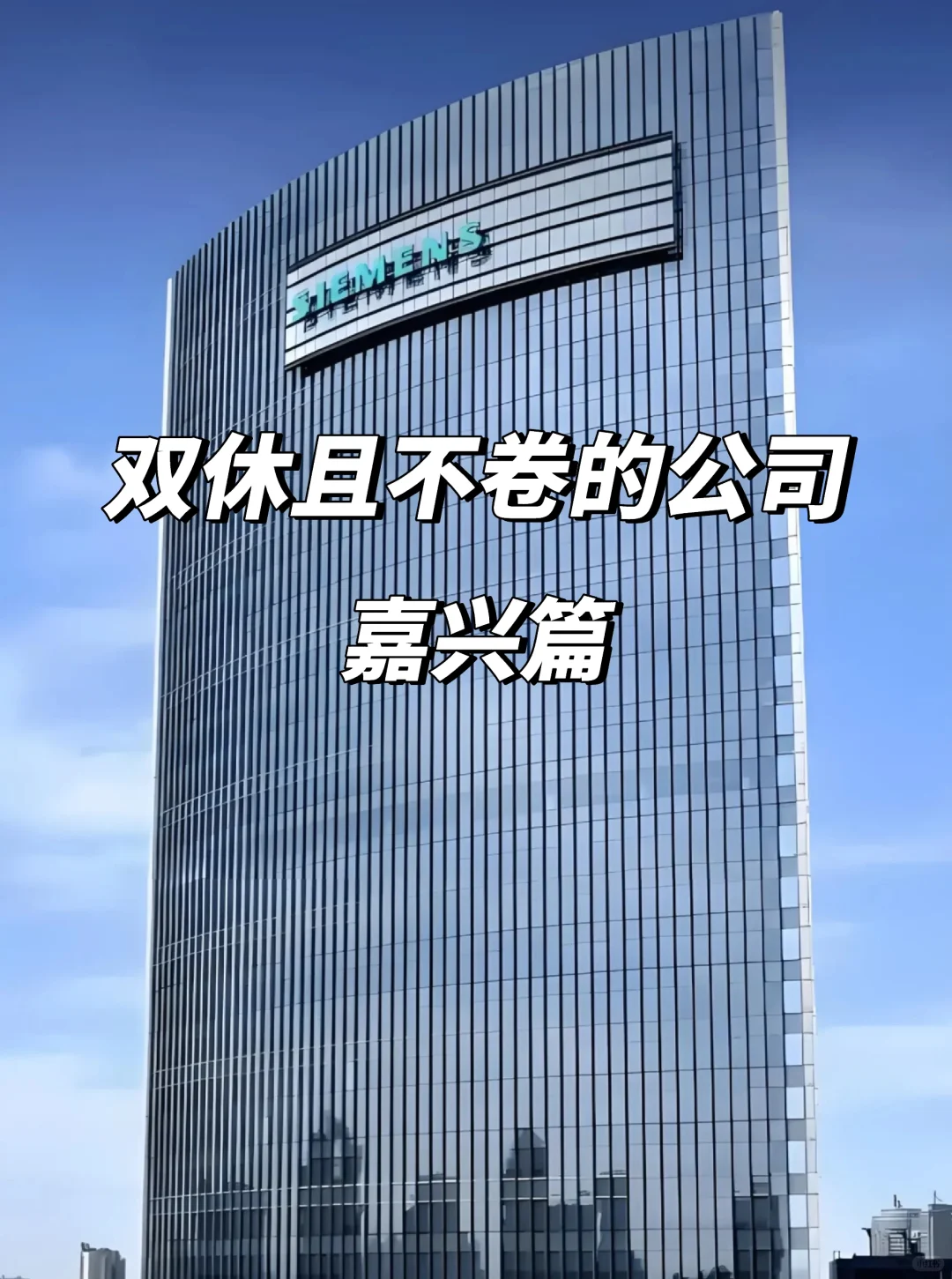 嘉兴双休不卷公司！这波福利直接冲💥