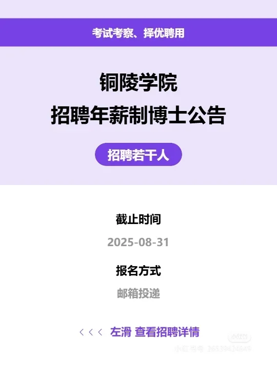 铜陵学院招聘年薪制