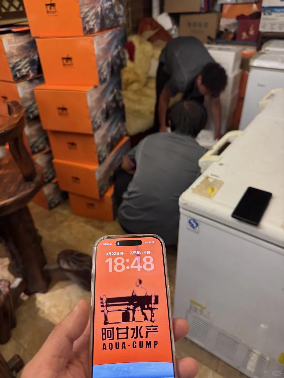 青岛招聘，包礼盒，一天260，日结无押