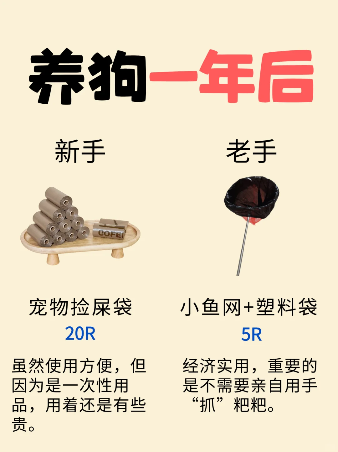 新手养狗平替指南 | 月薪3k也能精致养狗❗