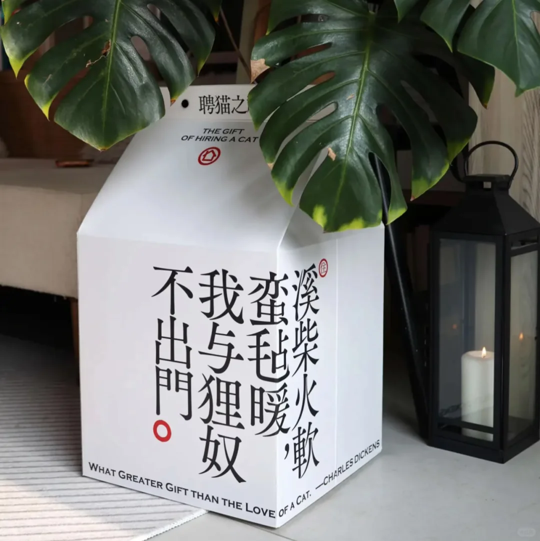 🐾谁懂啊！古人“聘猫”仪式被还原，太有仪式感