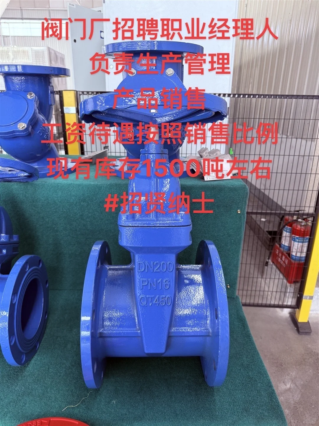 #招贤纳士#职业经理人#阀门厂#阀门厂家