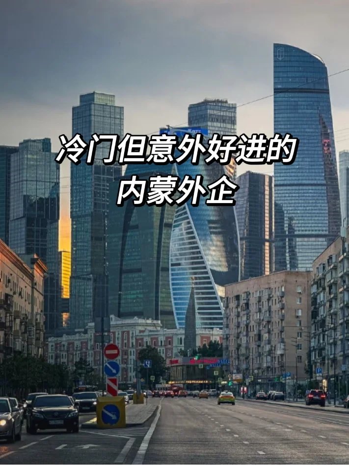 冷门但意外好进的内蒙外企