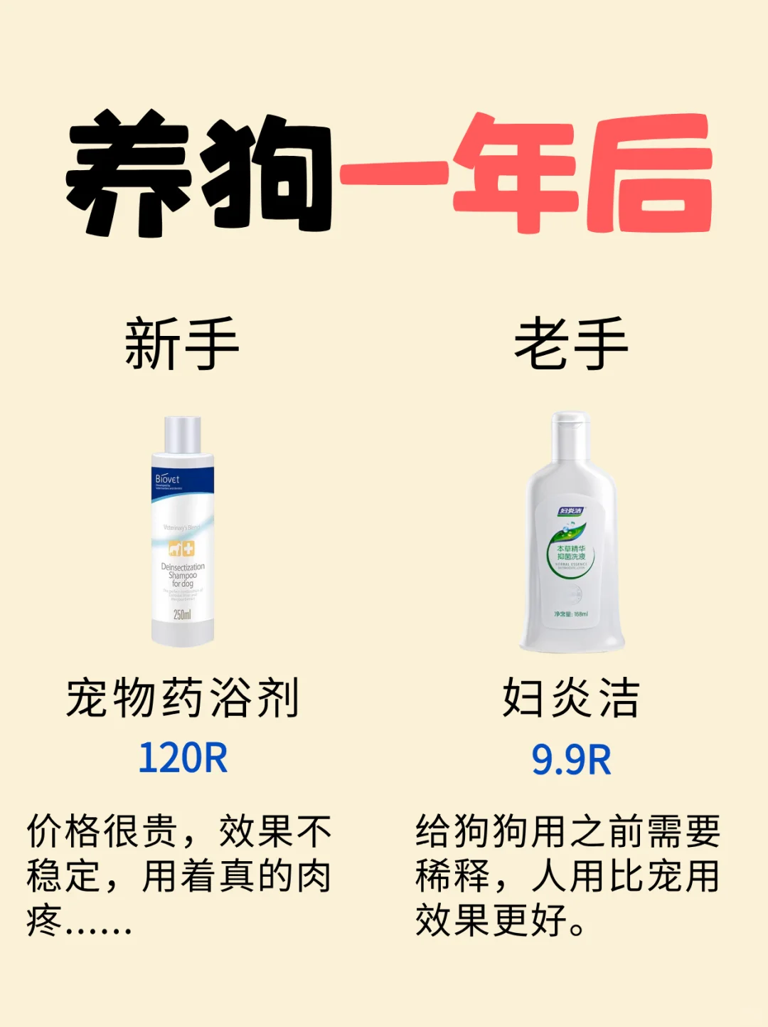 新手养狗平替指南 | 月薪3k也能精致养狗❗