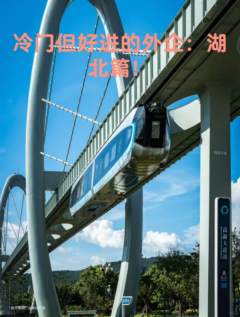 冷门但好进的外企：湖北篇！