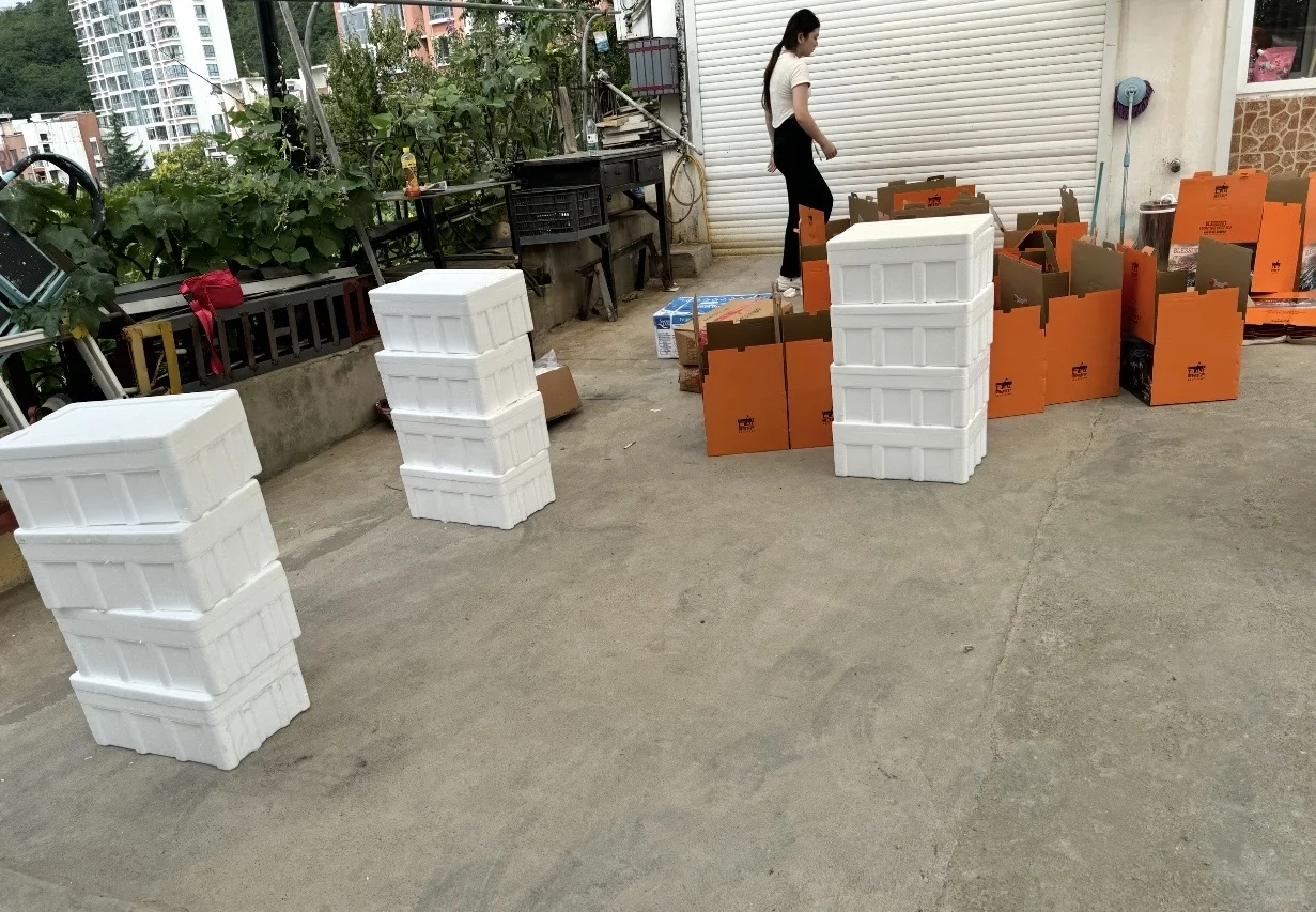 青岛招聘，包礼盒，一天260，日结无押
