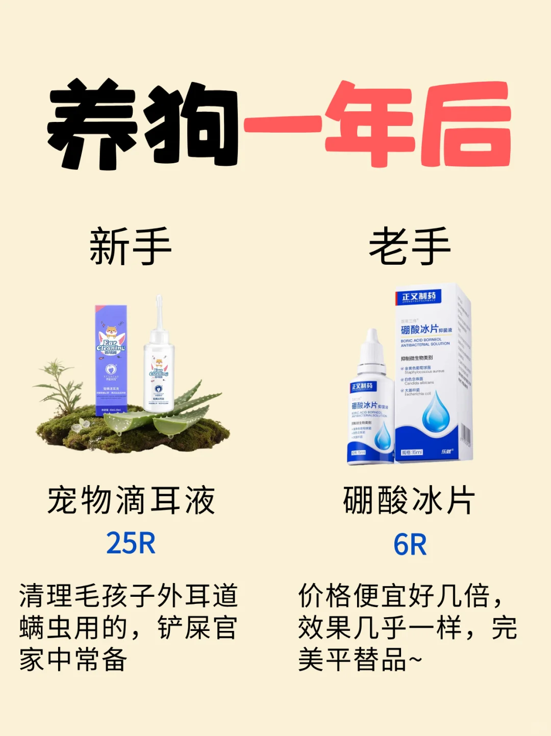 新手养狗平替指南 | 月薪3k也能精致养狗❗