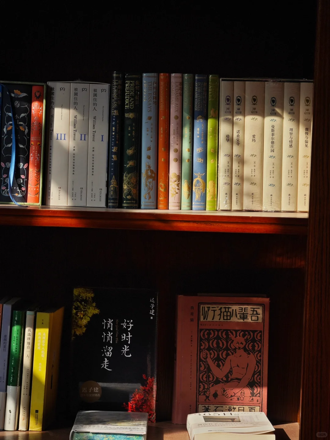 招募｜城市山谷集合店店长&店员