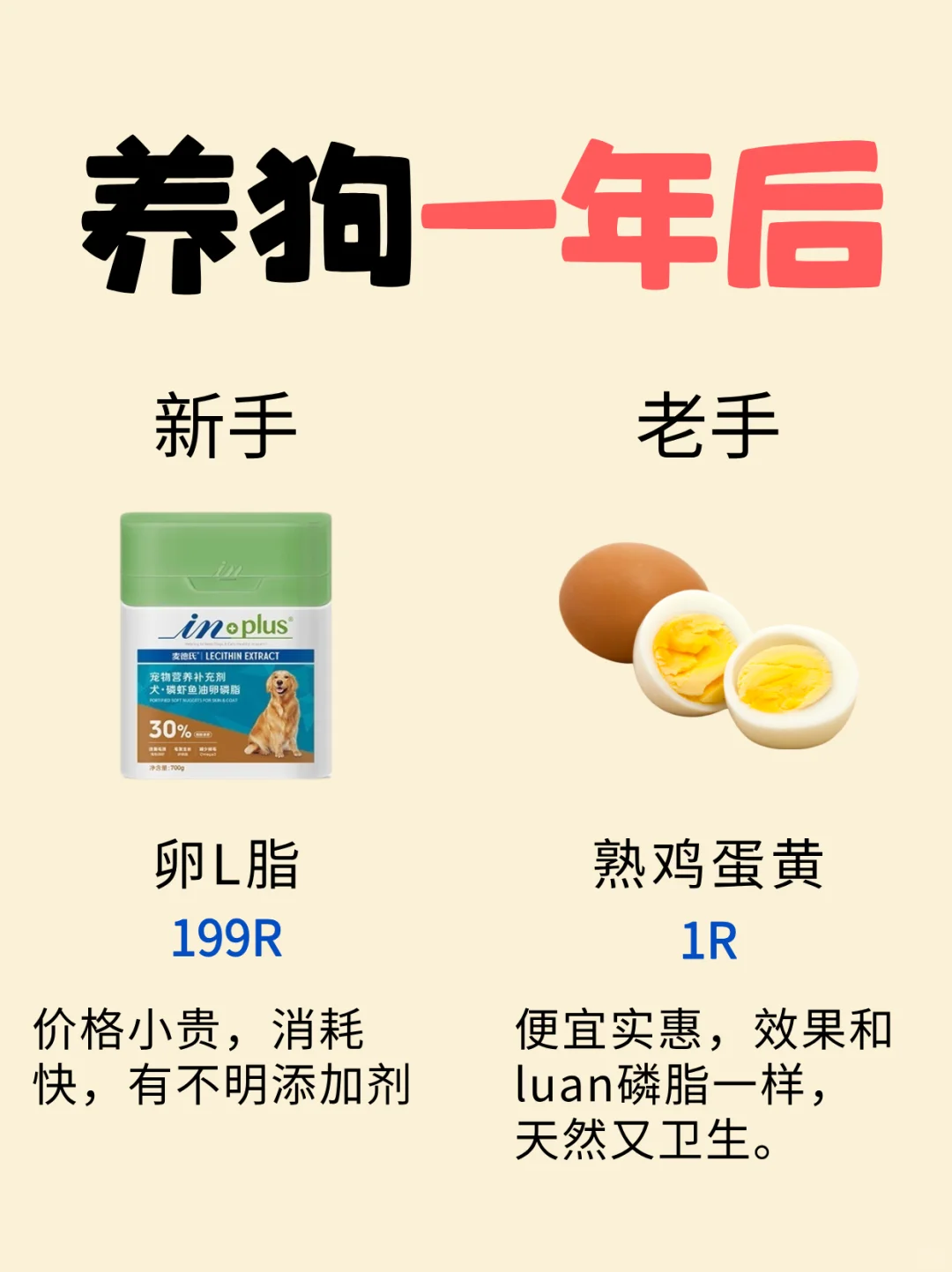 新手养狗平替指南 | 月薪3k也能精致养狗❗