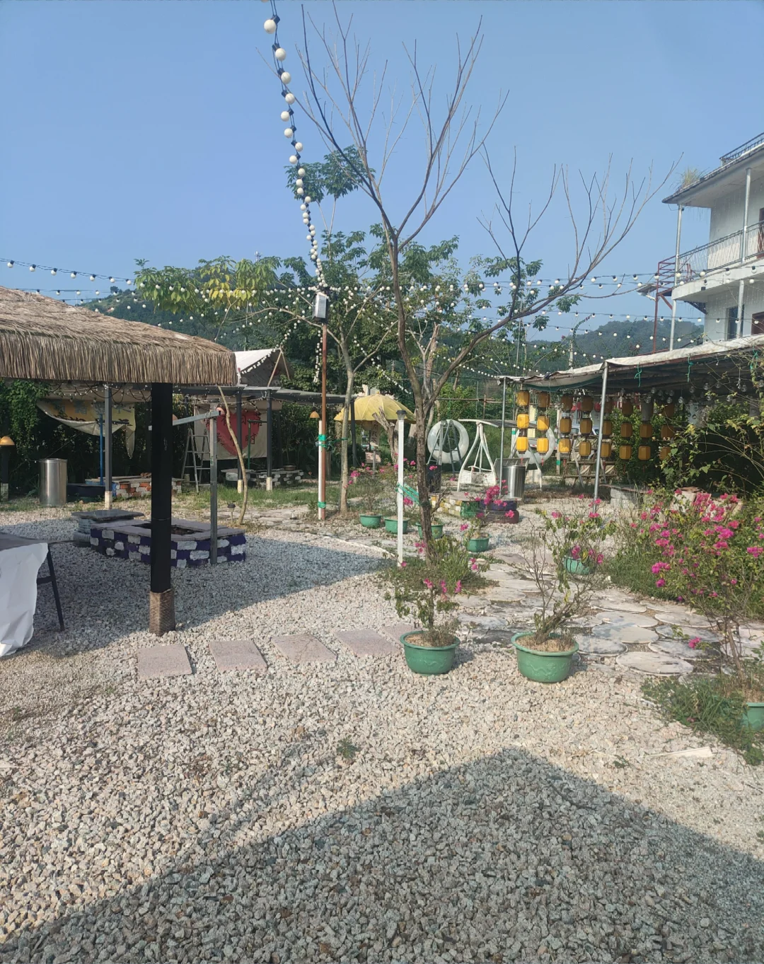 招募对农场运营有兴趣的合伙人