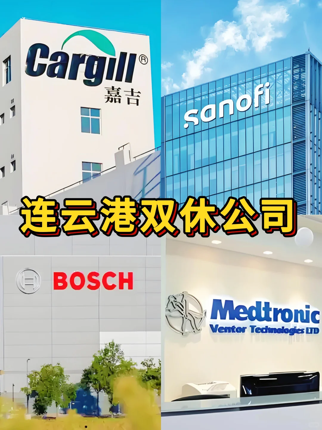 连云港双休神仙公司合集来啦！打工人速码✨