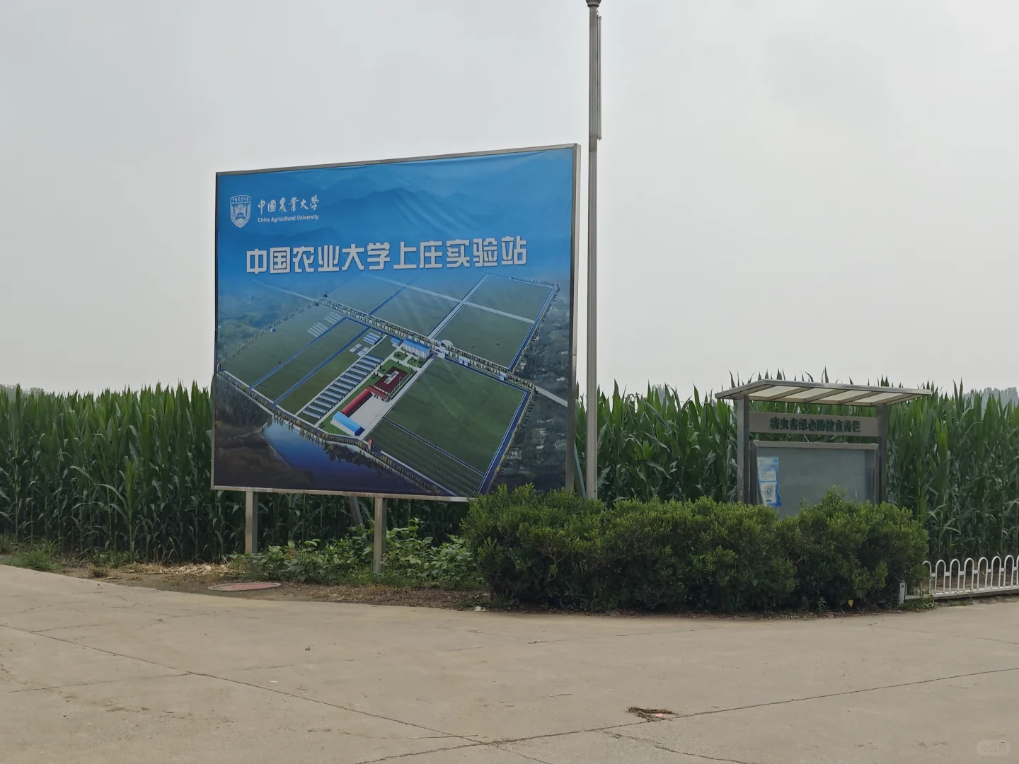 农学真的要比园艺累！