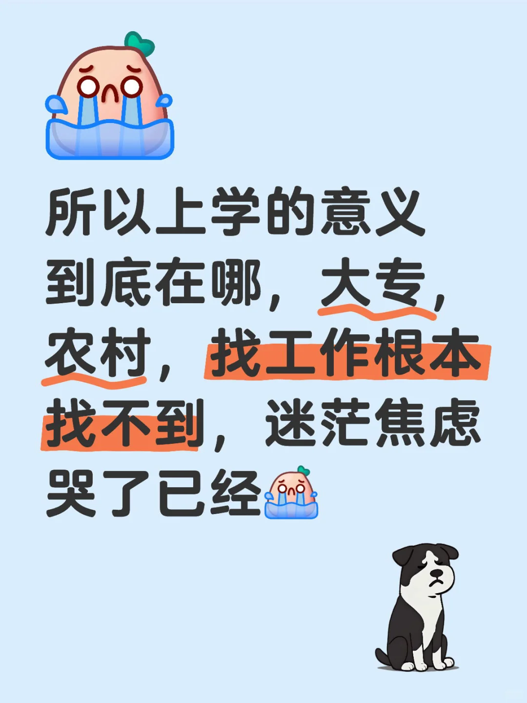 大专毕业到底能干哈啊