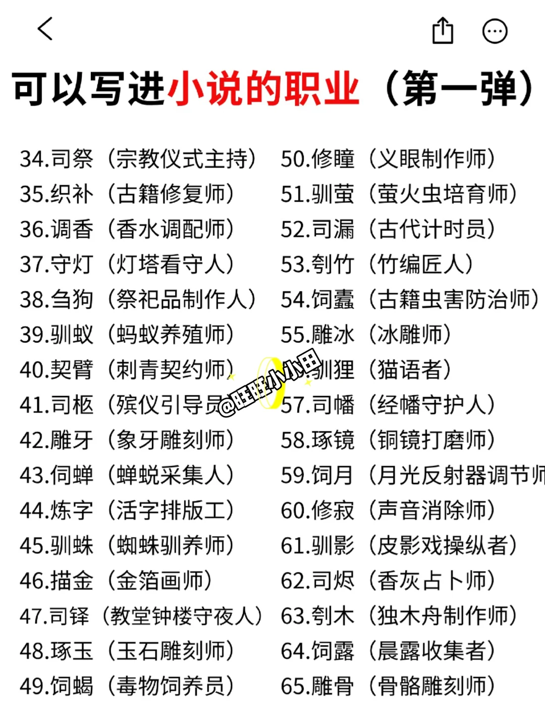 写作：可以写进小说的职位