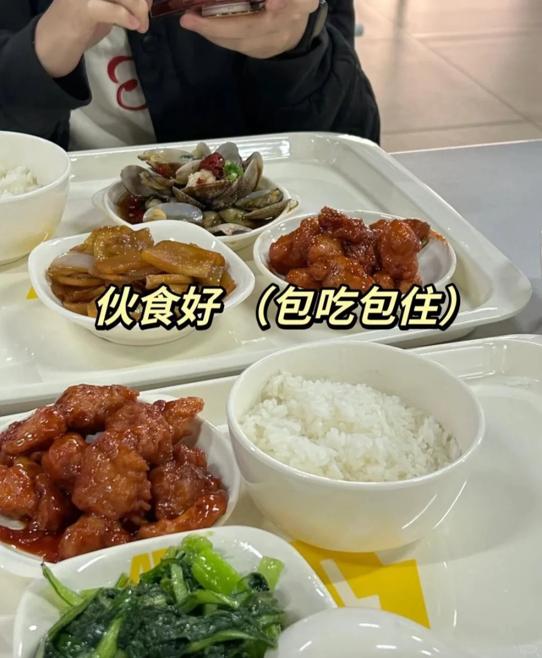 轻松好上手