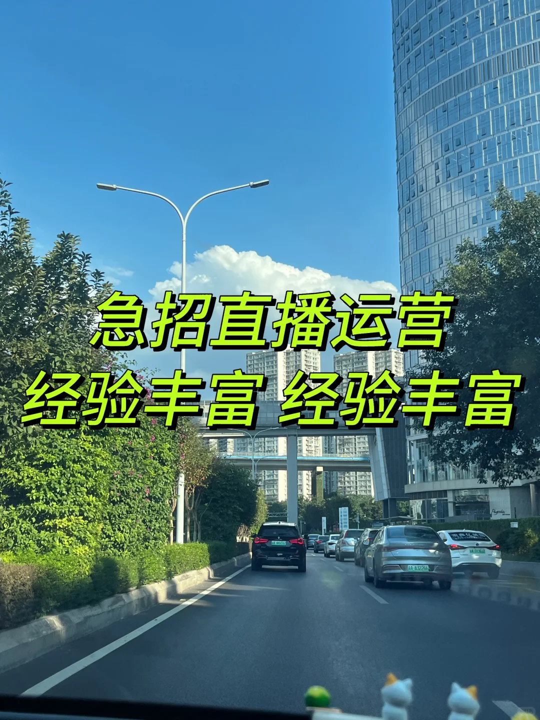 招聘高薪直播运营🤭🤭