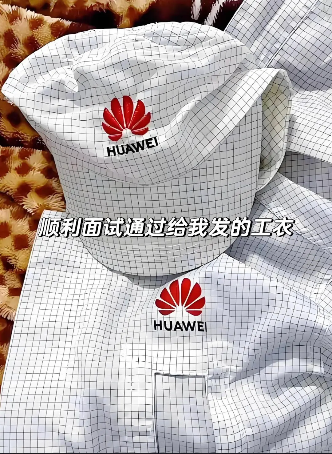 华为普工、华为招聘啦！