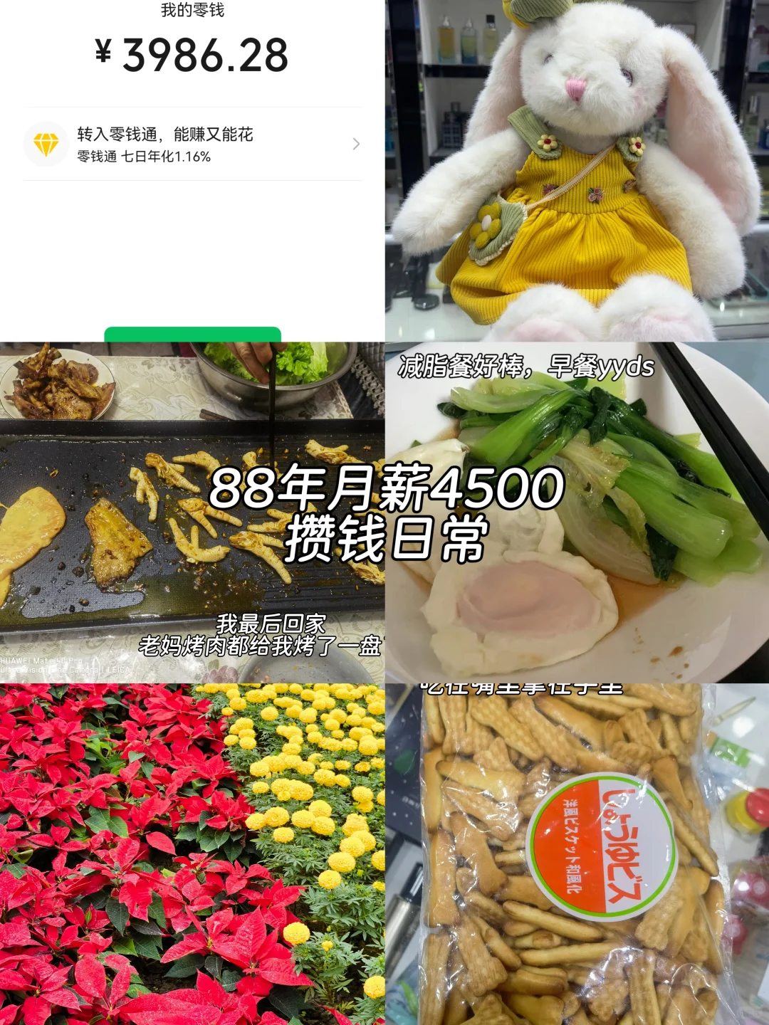 88年月薪4500存钱日常，毛绒玩具好自愈