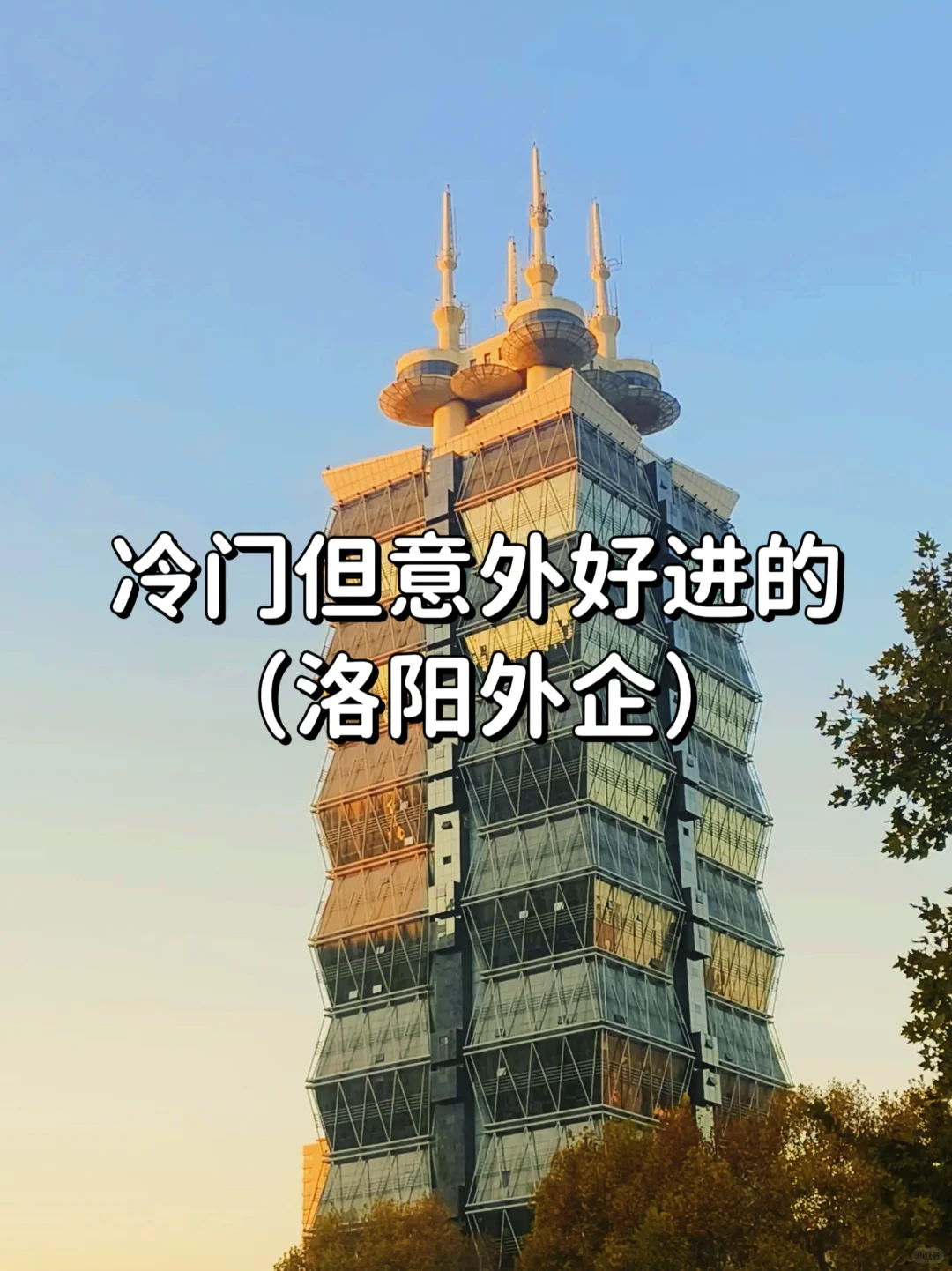 冷门但意外好进的外企——洛阳篇