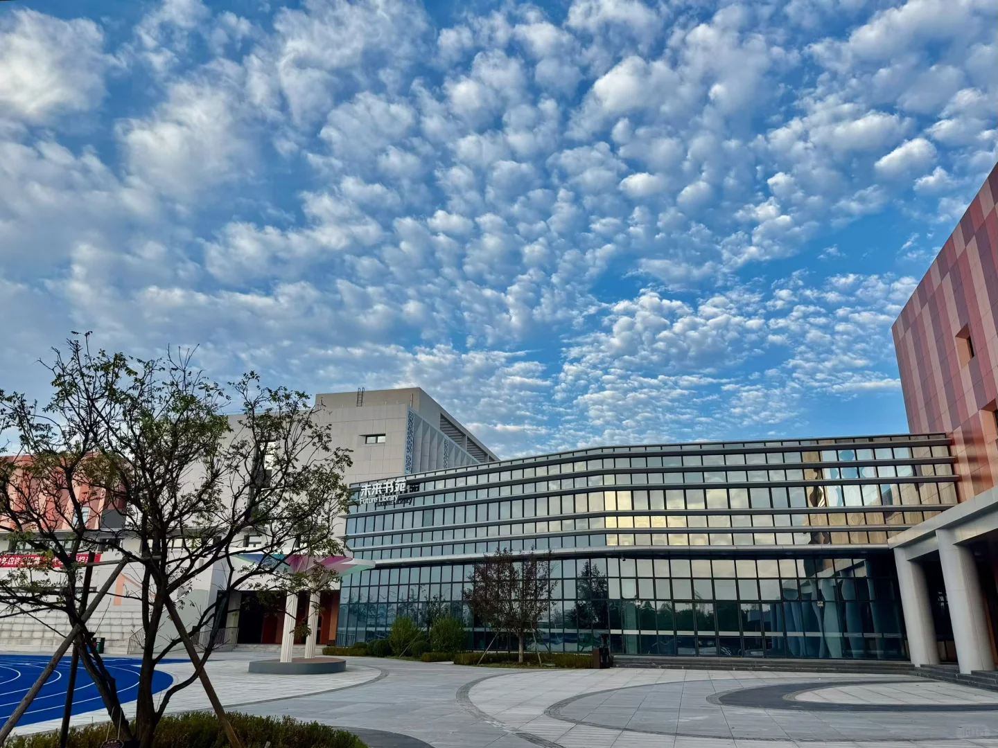 东北育才浑南科技城学校招聘公告！