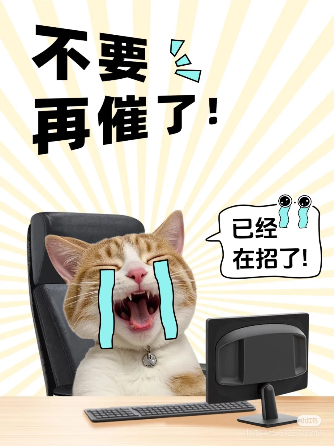 不要催了，在招啦！！