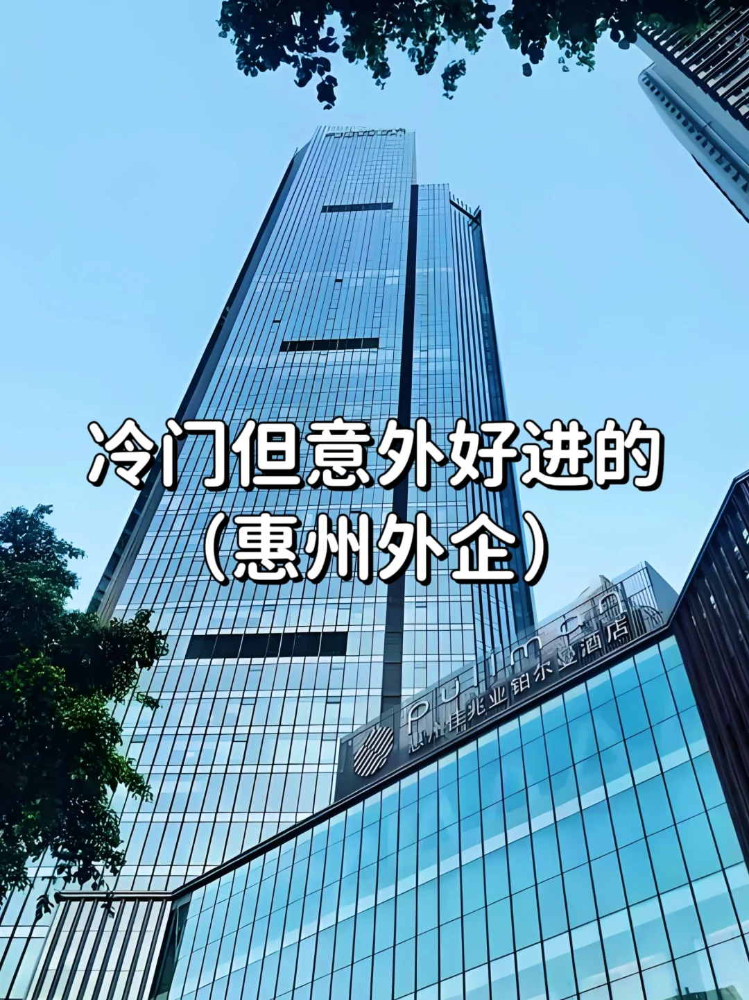 冷门但意外好进的外企——惠州篇
